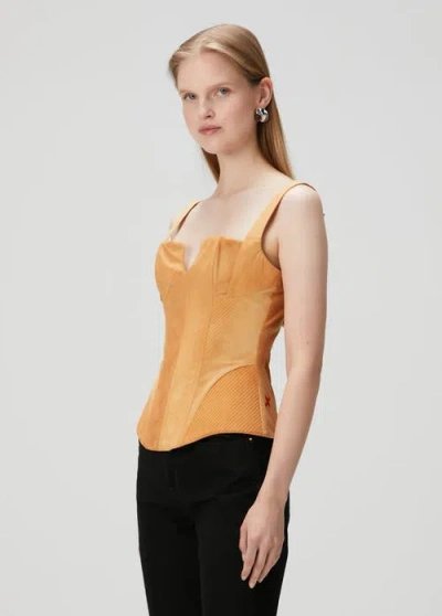 Pcfg Corset Top In Brown