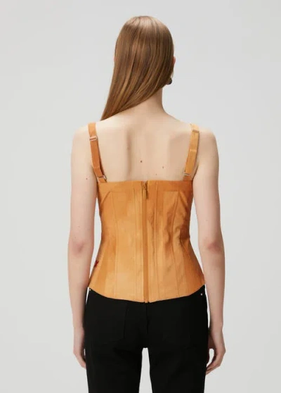 Pcfg Corset Top In Brown