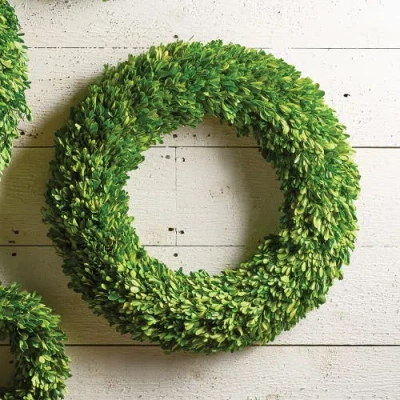 Napa Home & Garden Boxwood Wreath In Green