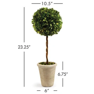 Napa Home & Garden 23.25in Single Ball Topiary In Green