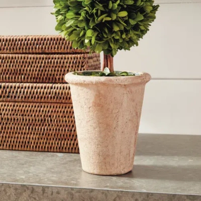 Napa Home & Garden 20in Double Sphere Topiary In Multi