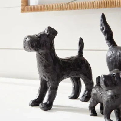 Napa Home & Garden Little Pack Set Of 3 In Black