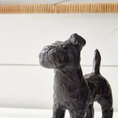 Napa Home & Garden Little Pack Set Of 3 In Black