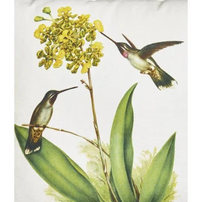 Tag Hummingbird Yellow Flower Cotton Decorative Throw Pillow In Multi