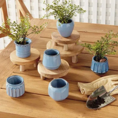 Napa Home & Garden Dezie Mini Pots Set Of 6 In Blue