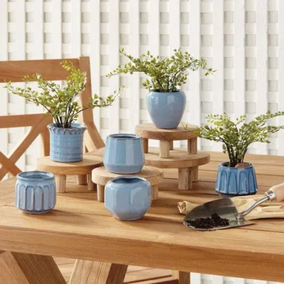 Napa Home & Garden Dezie Mini Pots Set Of 6 In Blue