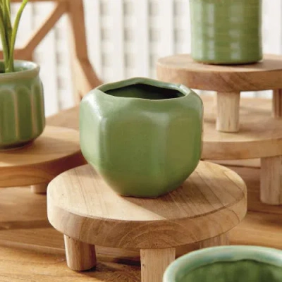 Napa Home & Garden Dezie Mini Pots Set Of 6 In Green