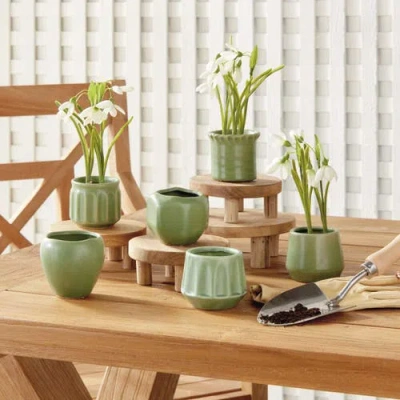 Napa Home & Garden Dezie Mini Pots Set Of 6 In Green