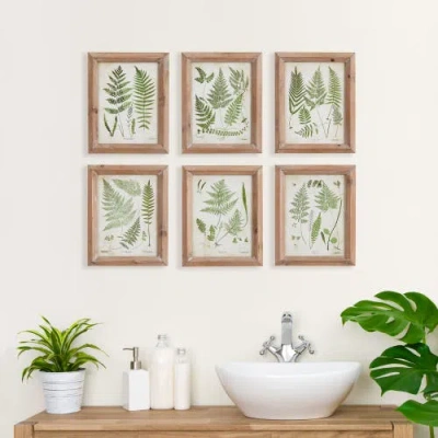 Napa Home & Garden Assorted Frond Study Petite Set Of 6 In Multi