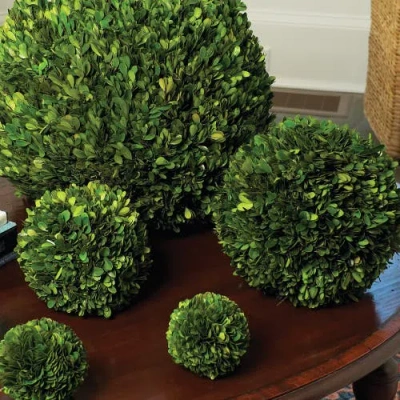 Napa Home & Garden Preserved Boxwood 8in Sphere In Multi