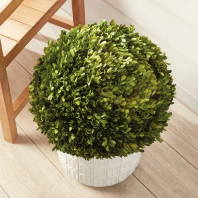 Napa Home & Garden 16in Ball In Green