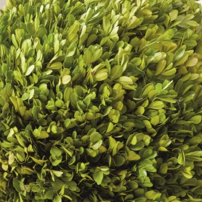 Napa Home & Garden 16in Ball In Green