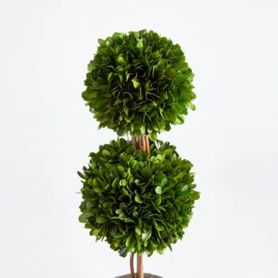 Napa Home & Garden Boxwood Double Sphere Topiary Drop-in 20" In Multi