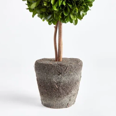 Napa Home & Garden Boxwood Double Sphere Topiary Drop-in 20" In Multi