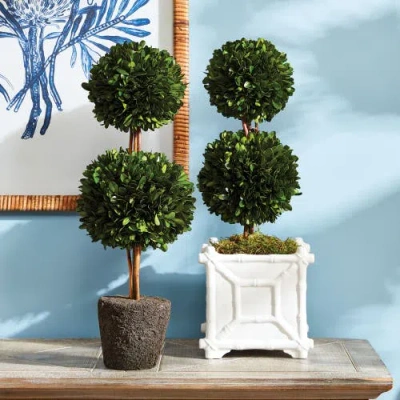 Napa Home & Garden Boxwood Double Sphere Topiary Drop-in 20" In Multi