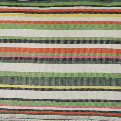 Tag Green Botanist Garden Stripe Cotton Decorative Throw Pillow In Multi