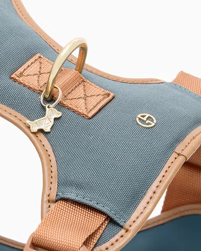 Giorgio Armani Poldo X  Hundegeschirr Aus Nylon Und Leder In Multi