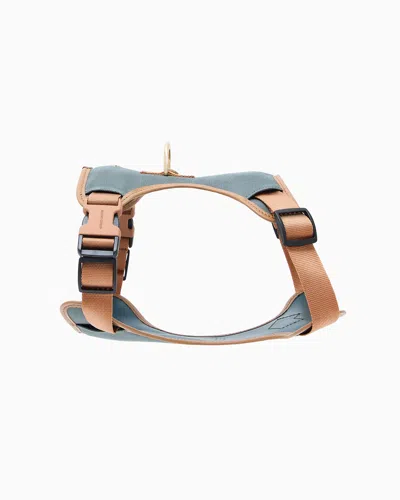 Giorgio Armani Poldo X  Hundegeschirr Aus Nylon Und Leder In Multi