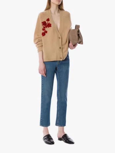 Alberta Ferretti V-neck Long Sleeve Knitwear Embroidered Detail In Brown