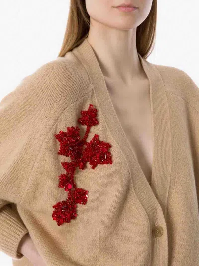 Alberta Ferretti V-neck Long Sleeve Knitwear Embroidered Detail In Brown