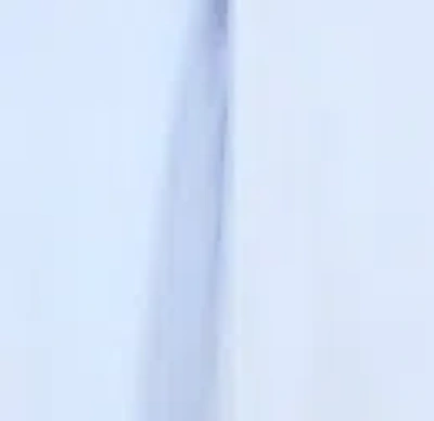 Kenneth Cole Cropped Tuxedo Style Long Sleeve Button Down Blouse In Blue