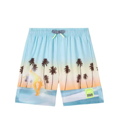 Molo Palm Tree-print Swim Shorts In Burgundy