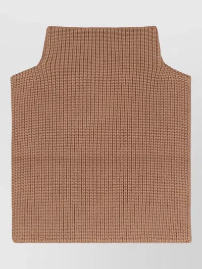 Max Mara Versatile Ribbed Knit High Collar Scarf In Brown
