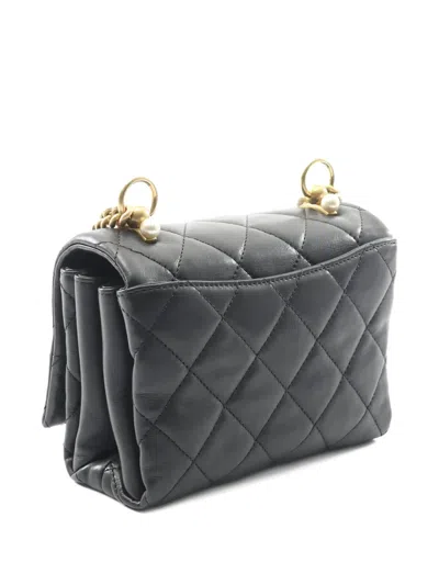 Pre-owned Chanel 2019 Quilted-design Mini Shoulder Bag In Black