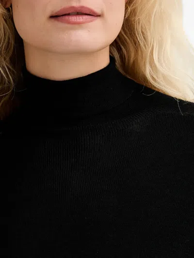 Isabelle Blanche Turtleneck Sweater In Black