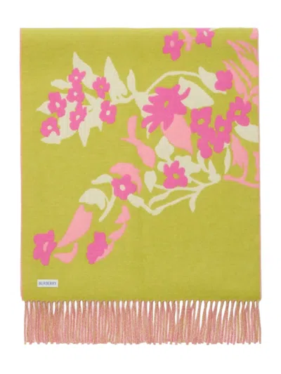 Burberry Floral-motif Jacquard Fringed Scarf In Pink