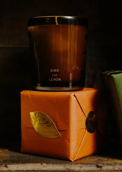 Perfumer H 325g Handblown Candle In Multi