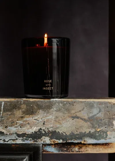 Perfumer H 325g Handblown Candle In Multi
