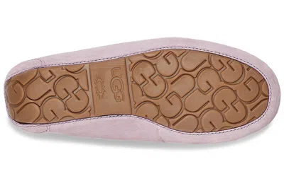 Ugg (wmns)  Dakota Bow Pom 'pink Purple' In Multi