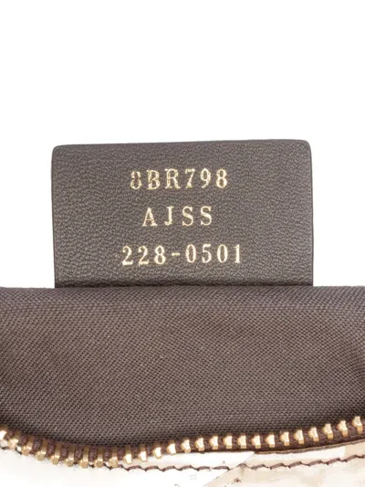 Pre-owned Fendi 2010-2025 Small Calfskin And Suede Rainbow Graphy Hobo Bag In Brown