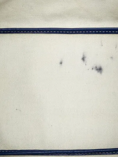 Pre-owned Goyard 2020 Ine Saint Louis Pm Tote Bag In Blue