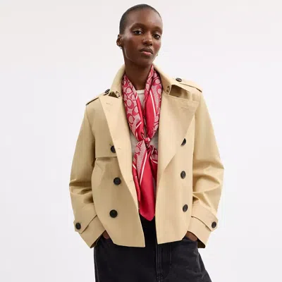 Coach Textured Signature Print Silk Square Scarf In Multi