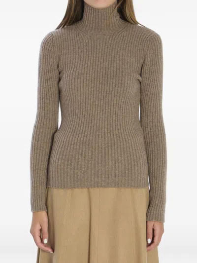 Max Mara Ribbed Turtleneck Sweater In Brown