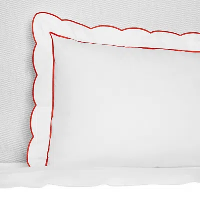 Sferra Limana Scalloped Euro Sham In White