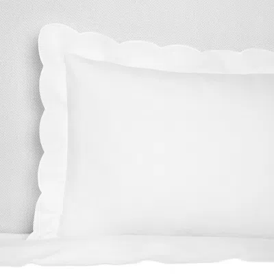 Sferra Limana Scalloped Euro Sham In White