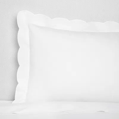 Sferra Limana Scalloped Euro Sham In White