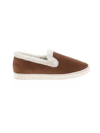 Pre-owned Birdies Sneakers In Brown