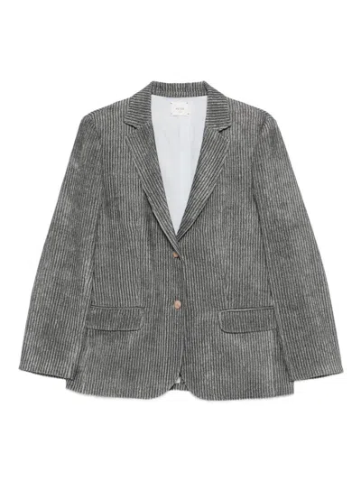 Alysi Single-breasted Jacket In Gray