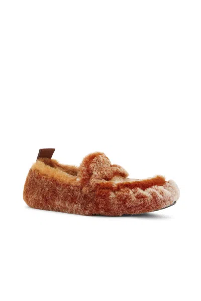Acne Studios Shearling Loafer In Multi