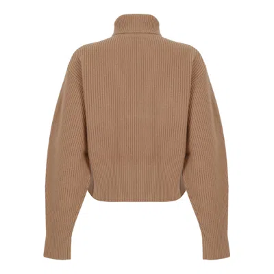 Max Mara Camel Wool Cashmere Sweater In Brown