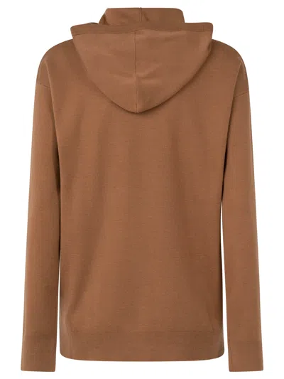 Max Mara Hoodie Sweater In Brown
