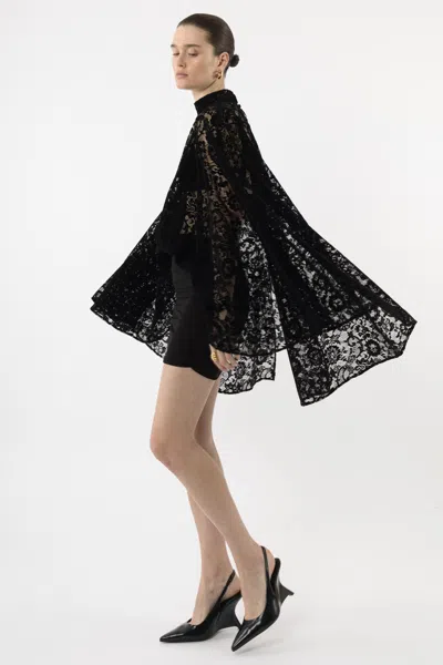 Arakii Velvet Lace Mini Dress In Black