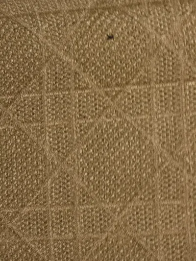 Pre-owned Dior Lady D-lite Bag Cannage Embroidered Canvas Medium Satchel In Neutral