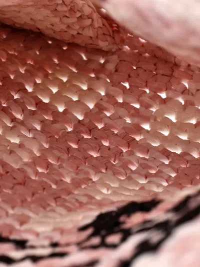 Pre-owned Prada Logo Messenger Bag Printed Raffia Small Crossbody Bag In Pink