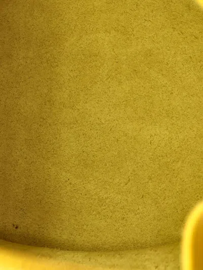 Pre-owned Celine Big Bag Leather Nano Bucket Bag In Yellow