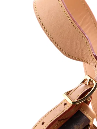 Pre-owned Louis Vuitton Carryall Monogram Canvas Pm Hobo Bag In Brown